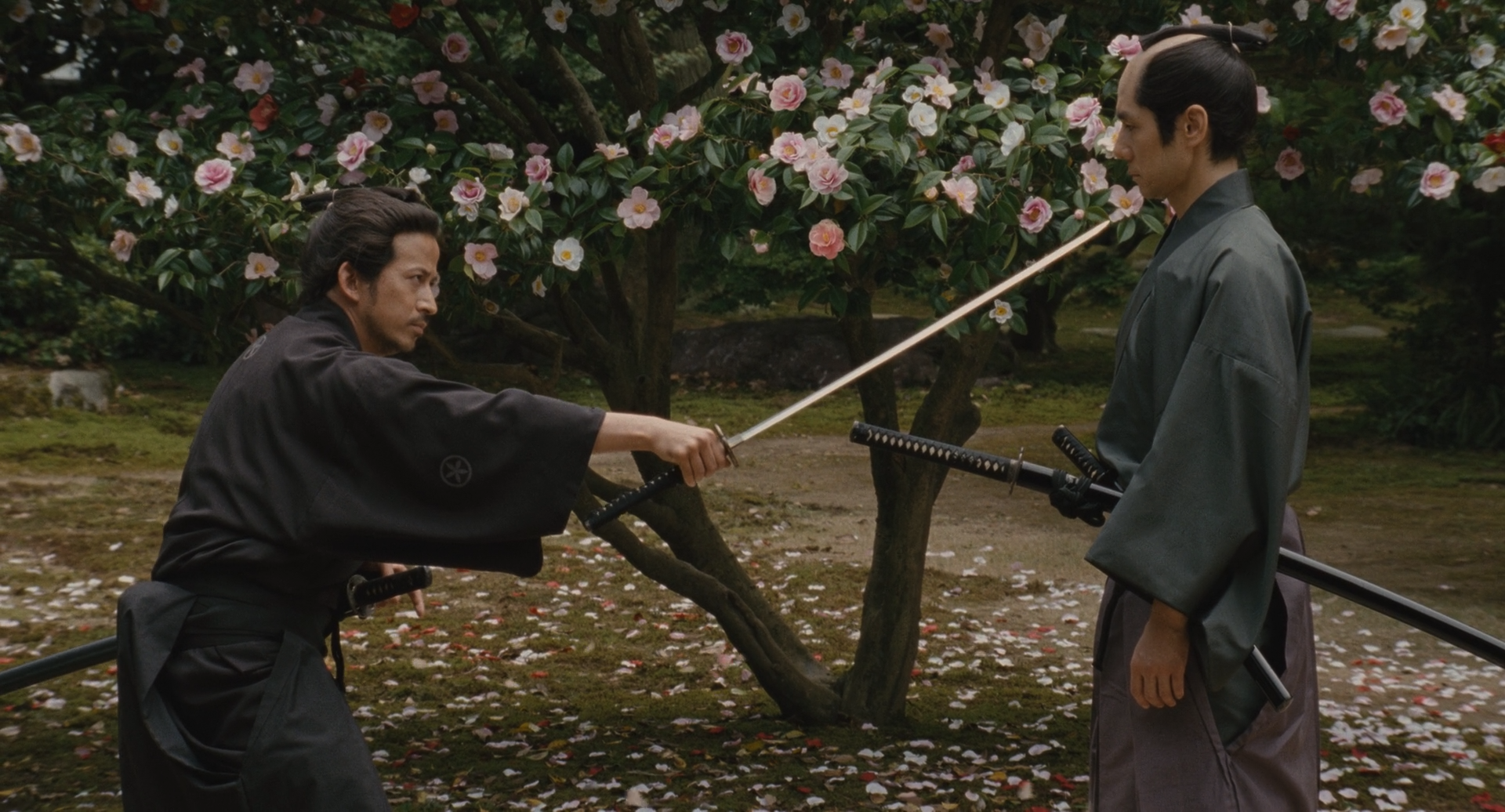 山茶花飘零剧照的剧照