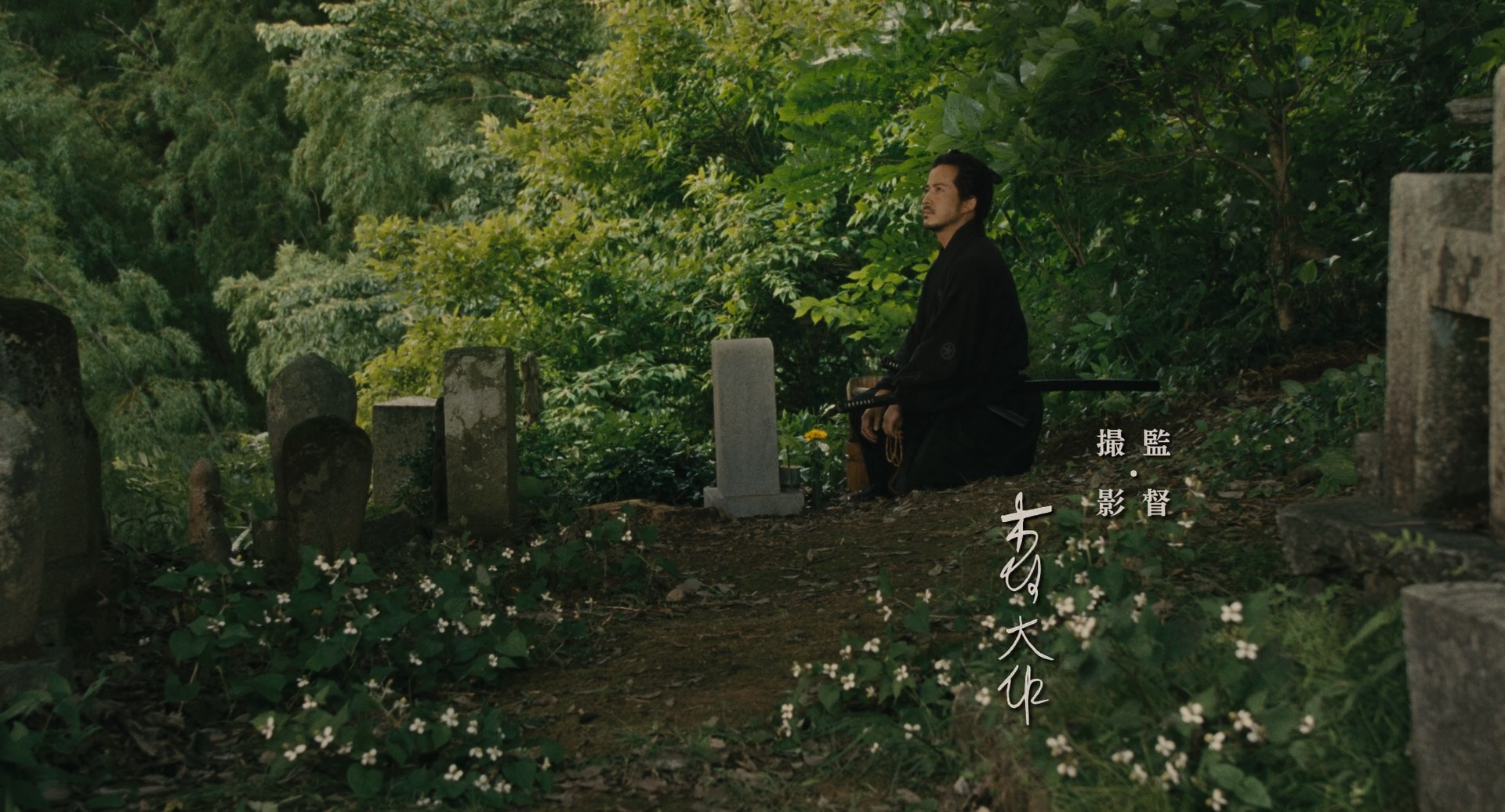 山茶花飘零剧照的剧照