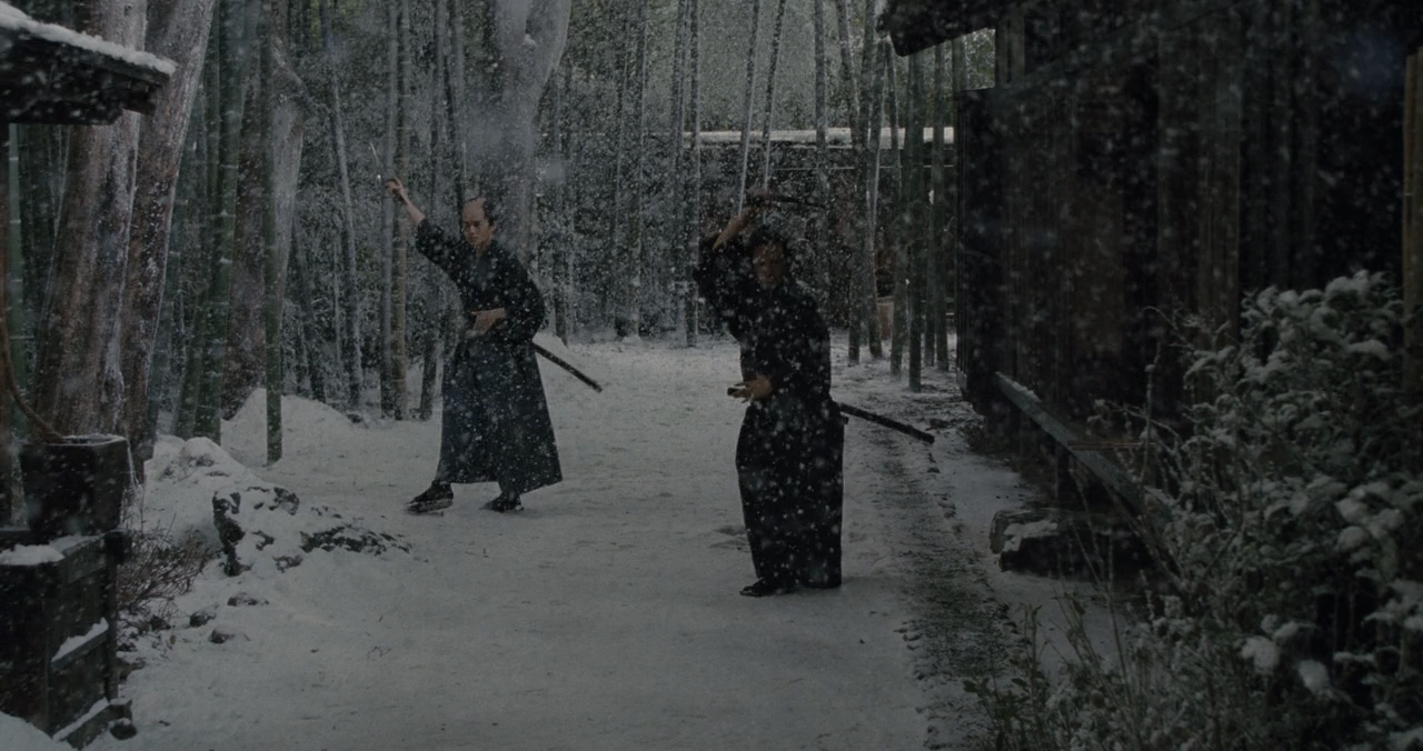 山茶花飘零剧照的剧照