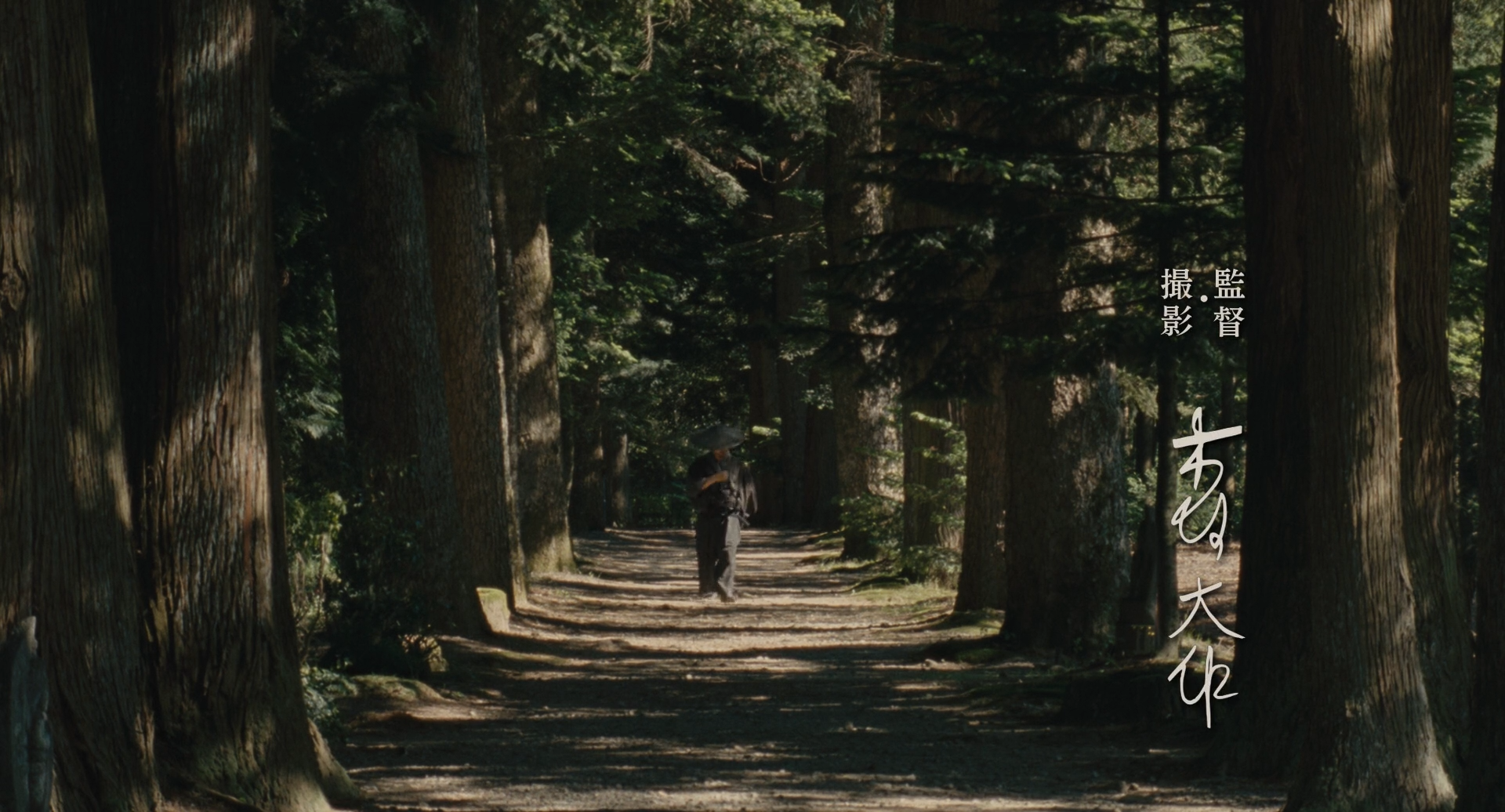 山茶花飘零剧照的剧照