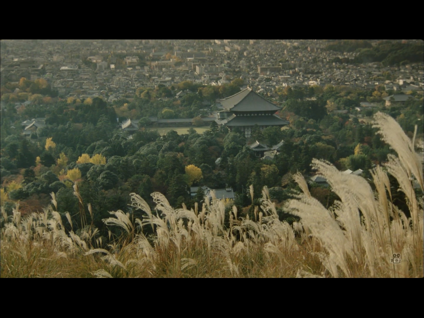 时雨之记剧照的剧照