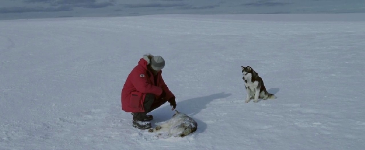 南极大冒险剧照的剧照