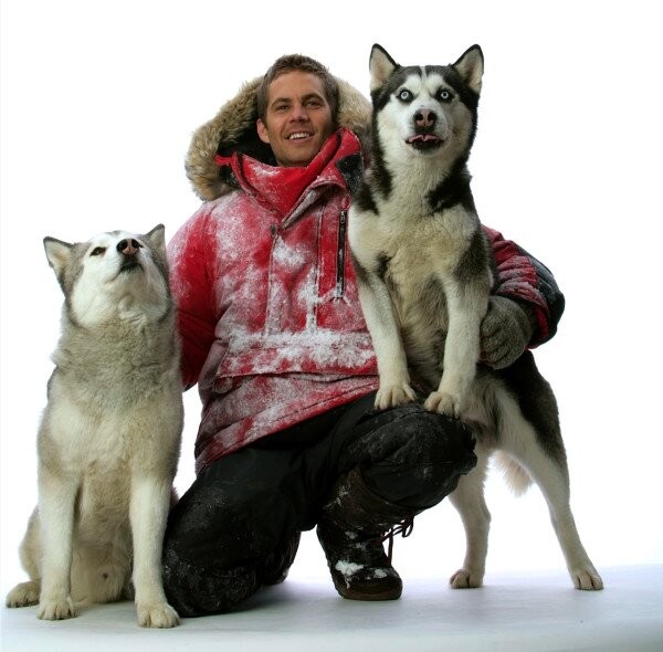 南极大冒险剧照的剧照