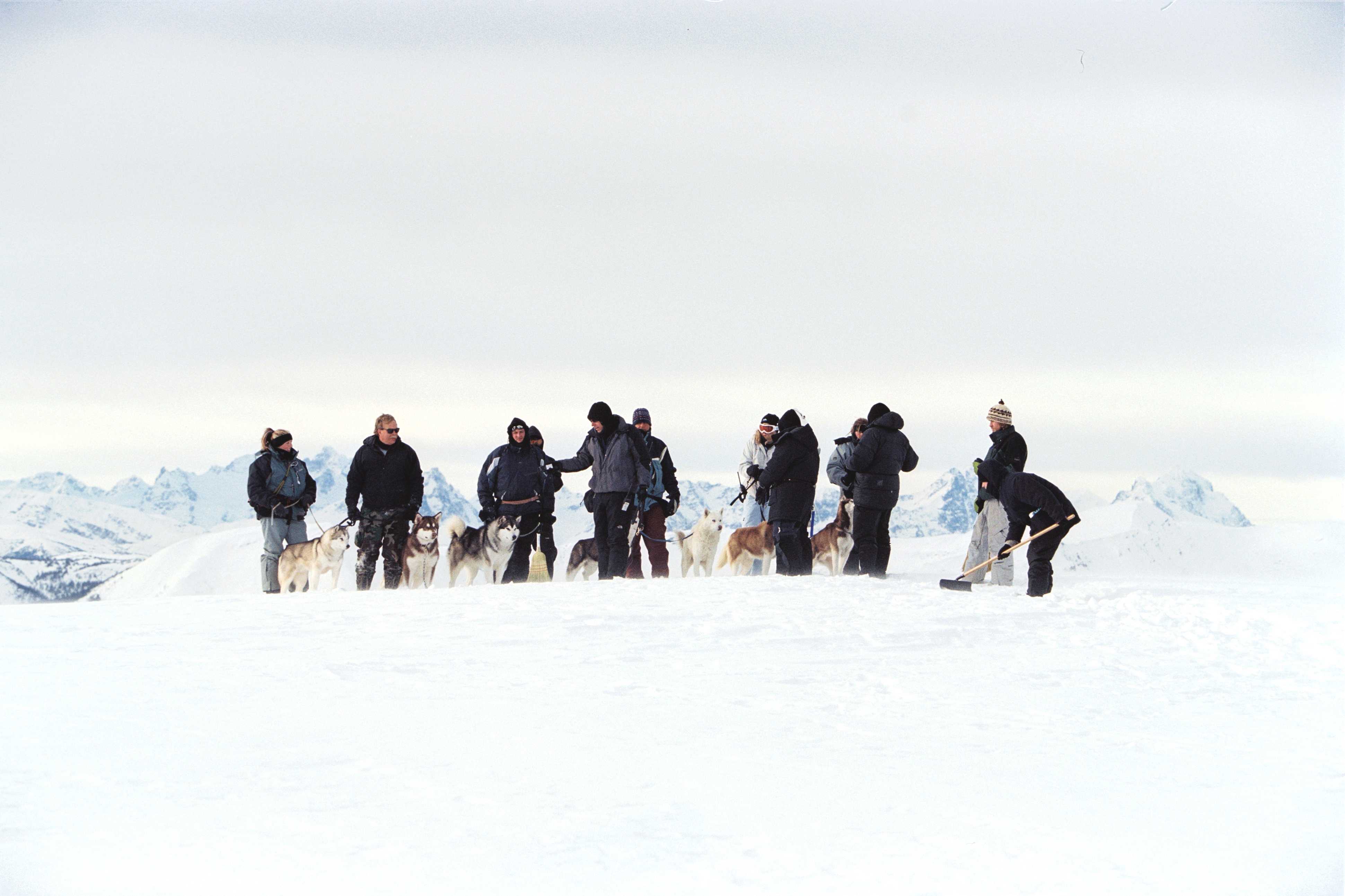 南极大冒险剧照的剧照