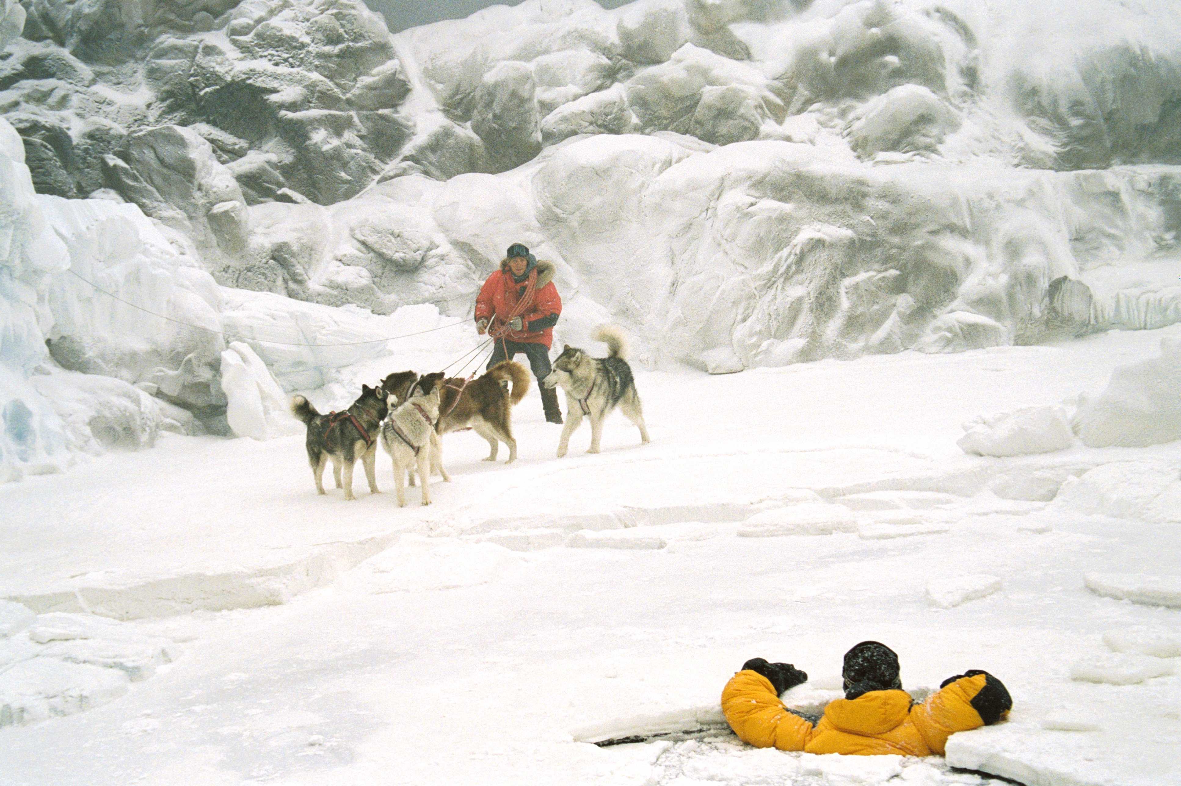 南极大冒险剧照的剧照