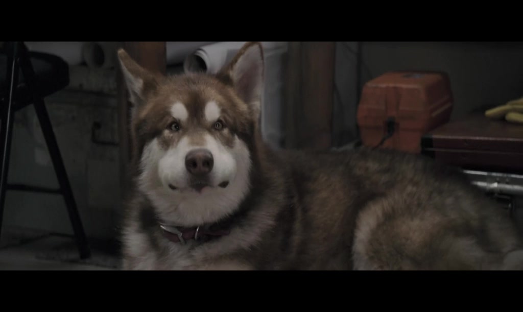 南极大冒险剧照的剧照