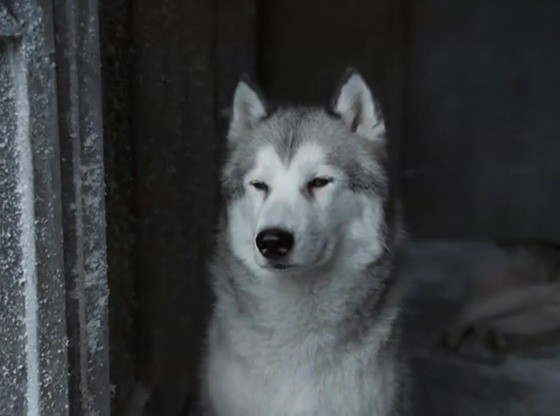 南极大冒险剧照的剧照