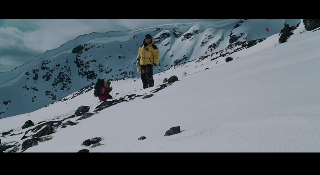 南极大冒险剧照的剧照