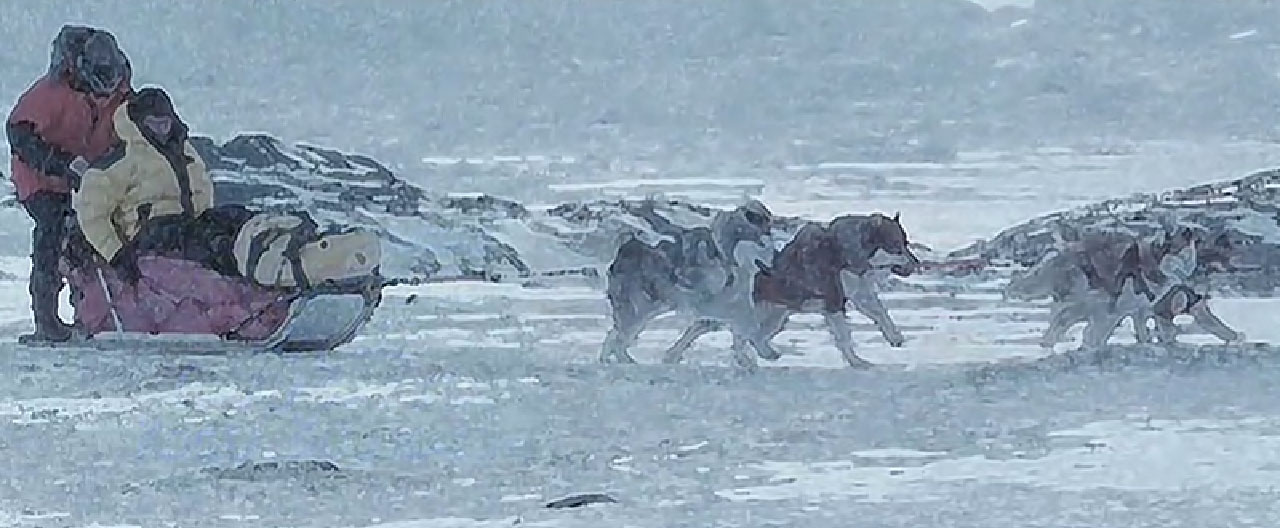 南极大冒险剧照的剧照