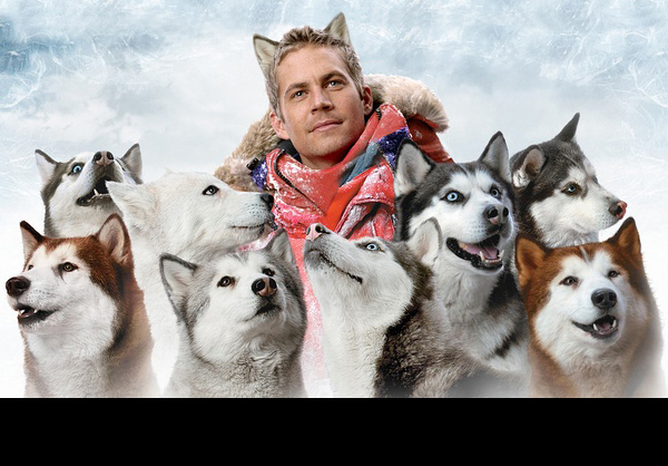 南极大冒险剧照的剧照