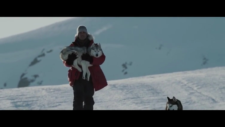 南极大冒险剧照的剧照
