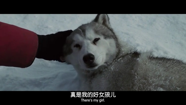 南极大冒险剧照的剧照