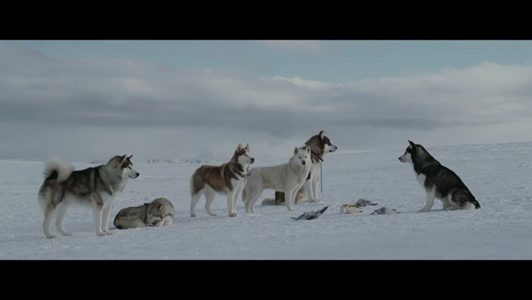 南极大冒险剧照的剧照