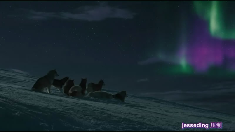 南极大冒险剧照的剧照