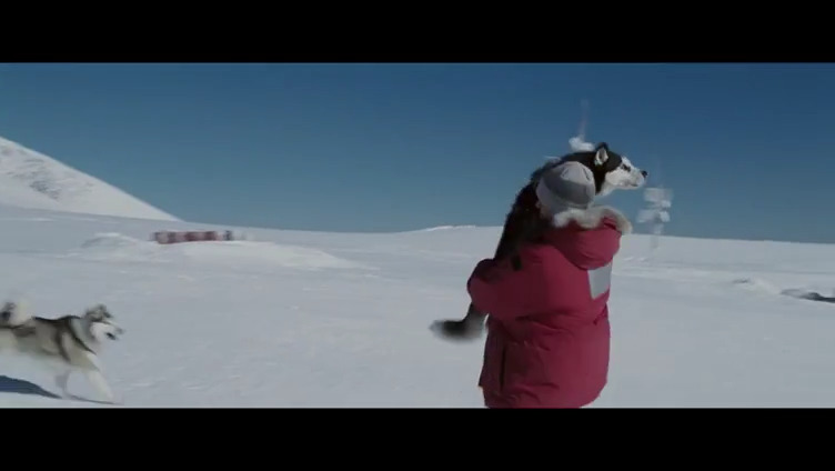 南极大冒险剧照的剧照