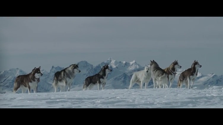 南极大冒险剧照的剧照
