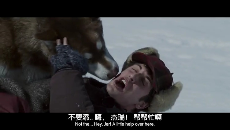 南极大冒险剧照的剧照