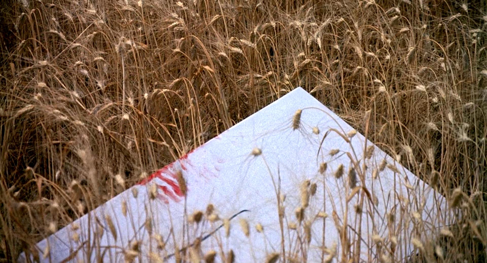 梵高与提奥剧照的剧照