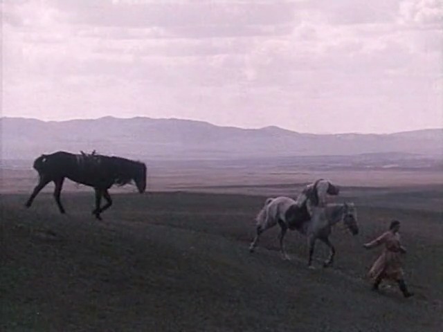 阿丽玛剧照的剧照