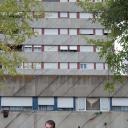 安宁的大地剧照