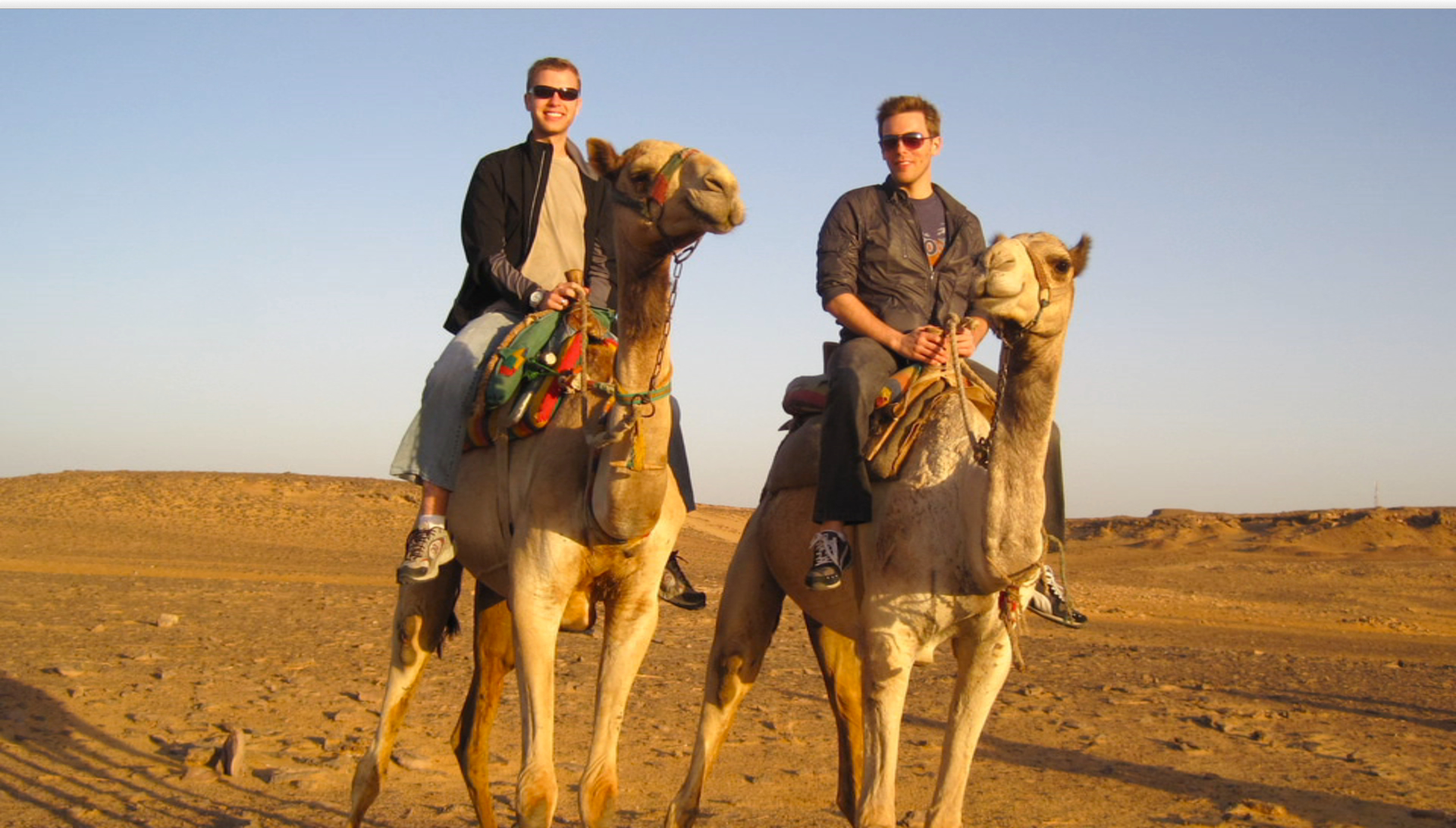 再见，我的新郎剧照的剧照