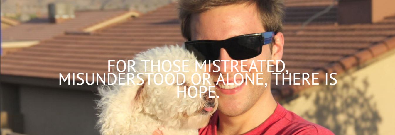 再见，我的新郎剧照的剧照