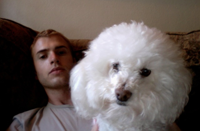 再见，我的新郎剧照的剧照