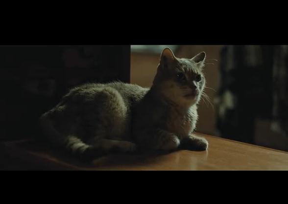 与玛格丽特的午后剧照的剧照