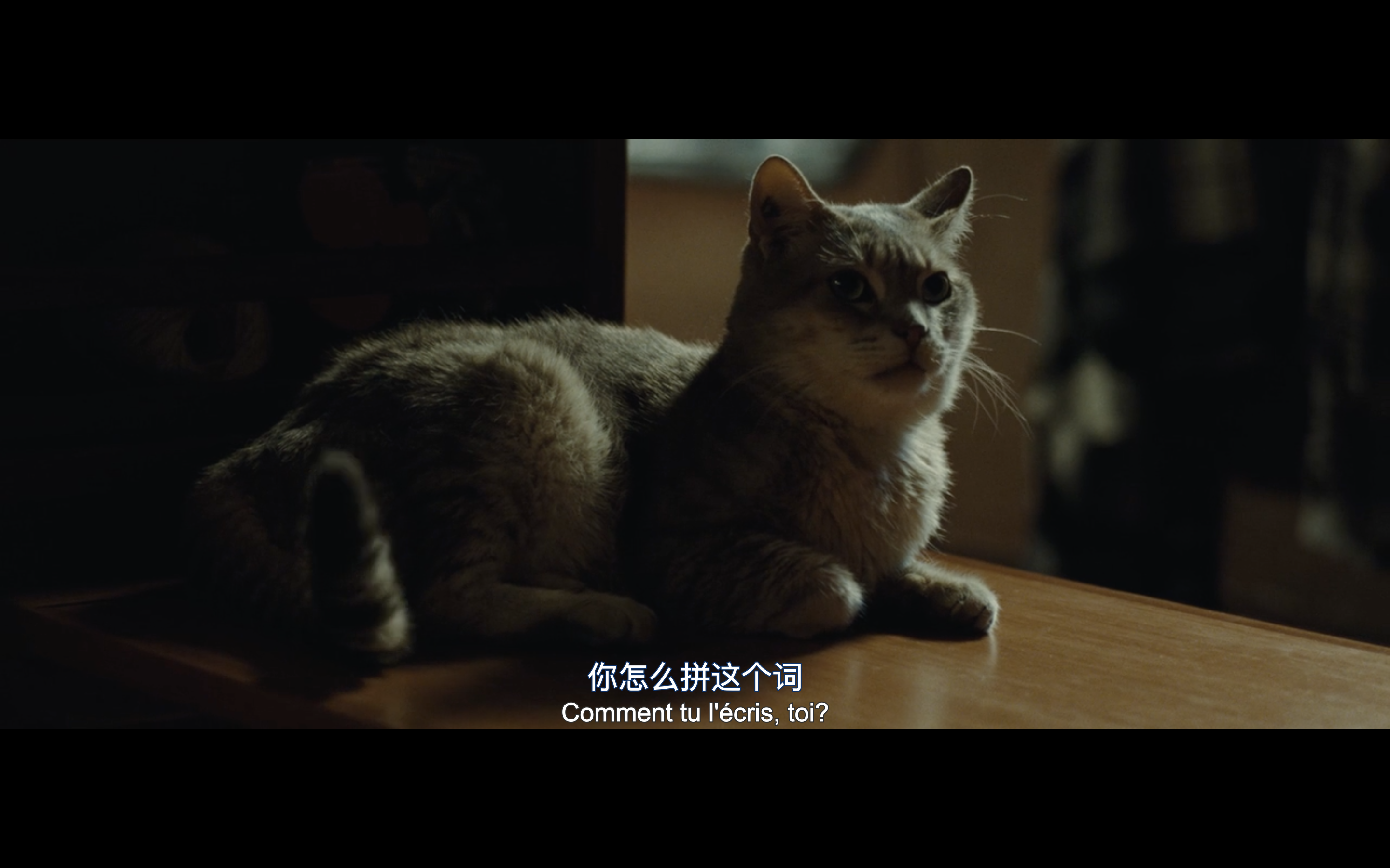 与玛格丽特的午后剧照的剧照