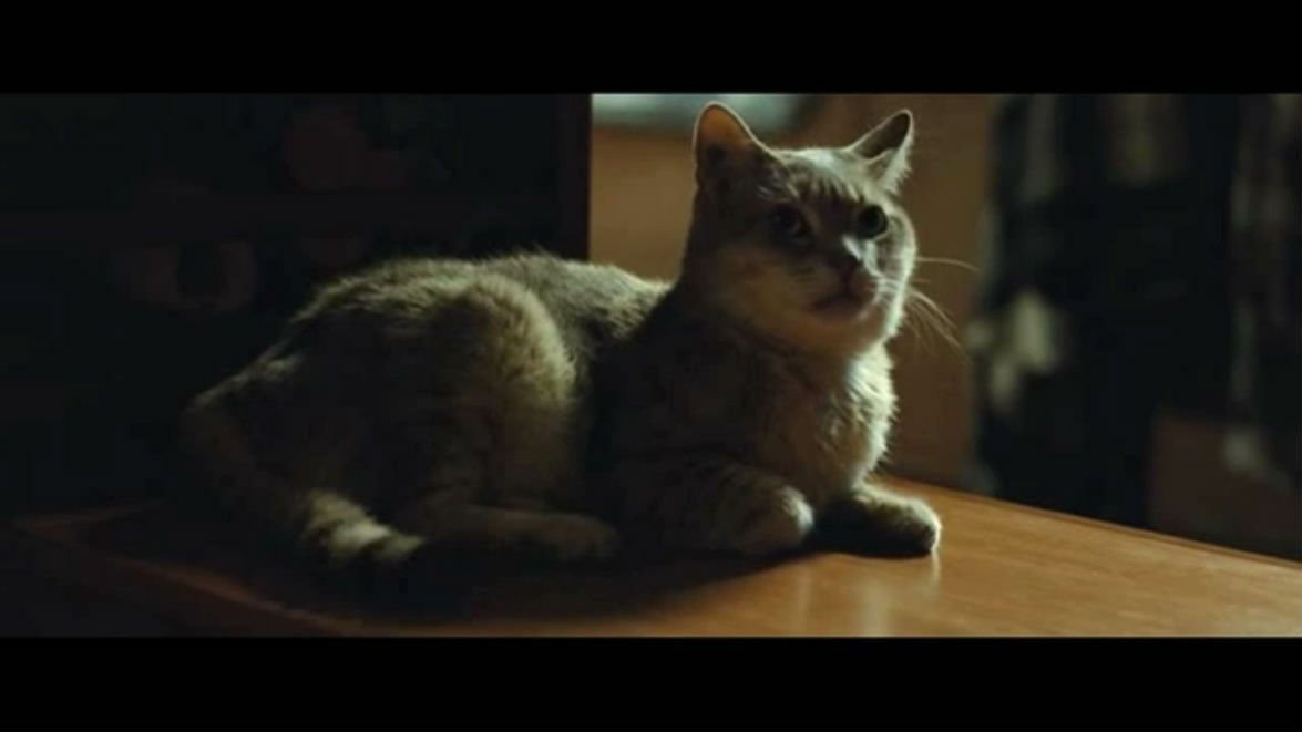 与玛格丽特的午后剧照的剧照