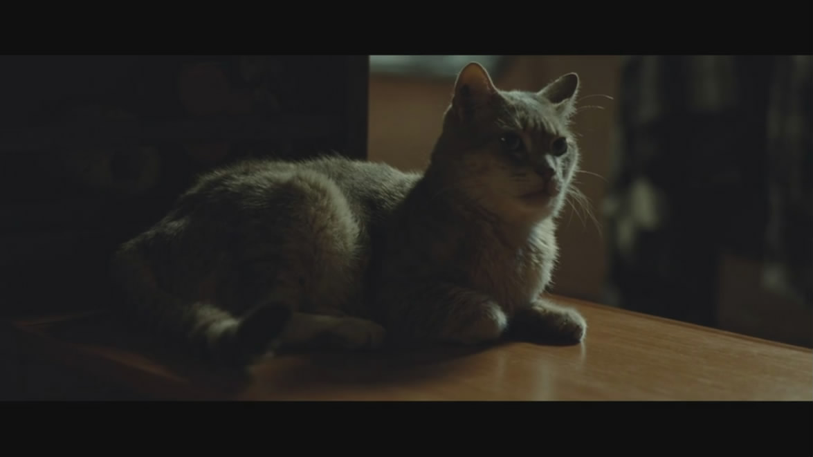 与玛格丽特的午后剧照的剧照