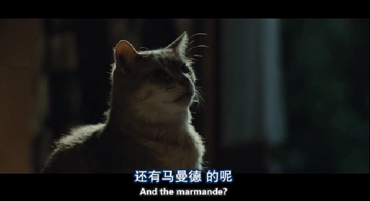 与玛格丽特的午后剧照的剧照