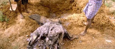 较量剧照的剧照