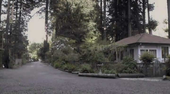 红木林剧照的剧照