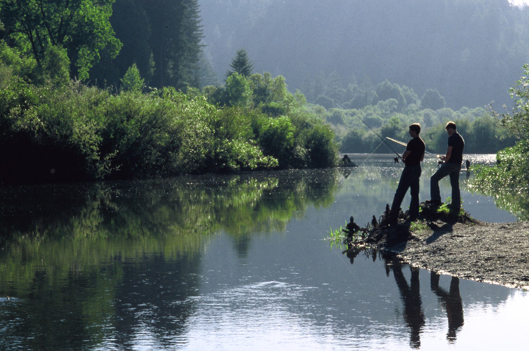 红木林剧照的剧照