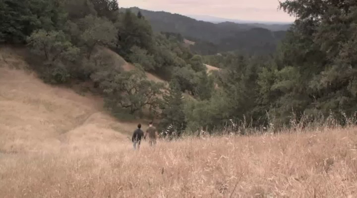 红木林剧照的剧照