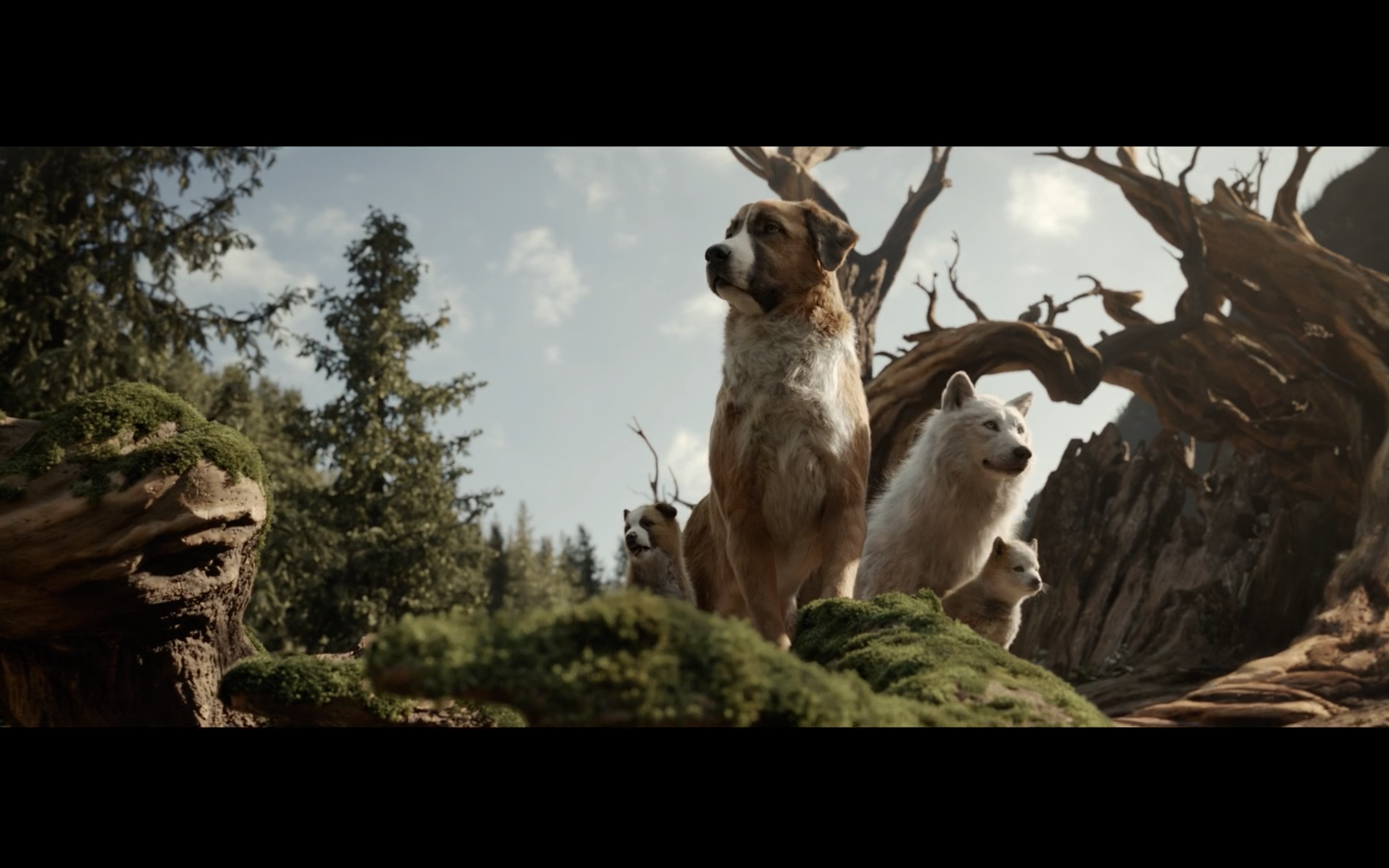 野性的呼唤剧照的剧照