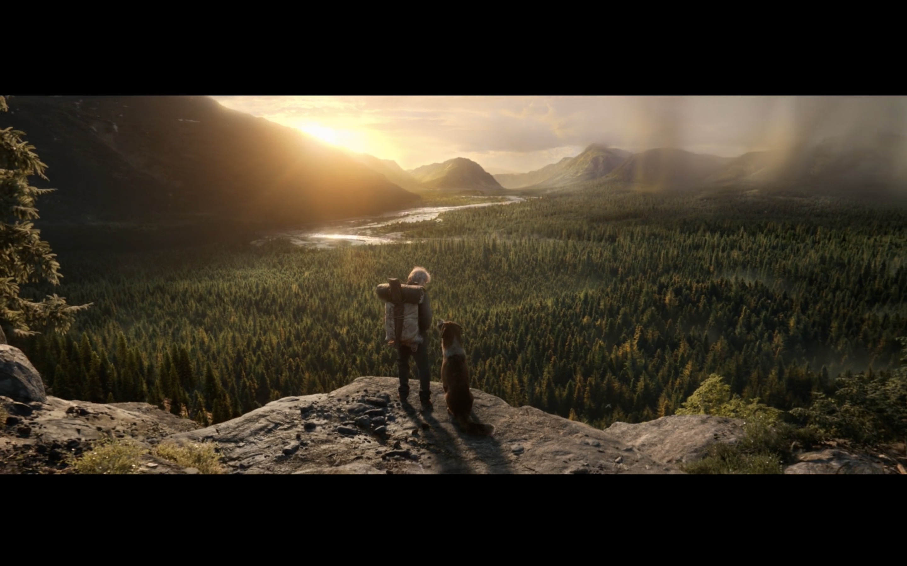 野性的呼唤剧照的剧照