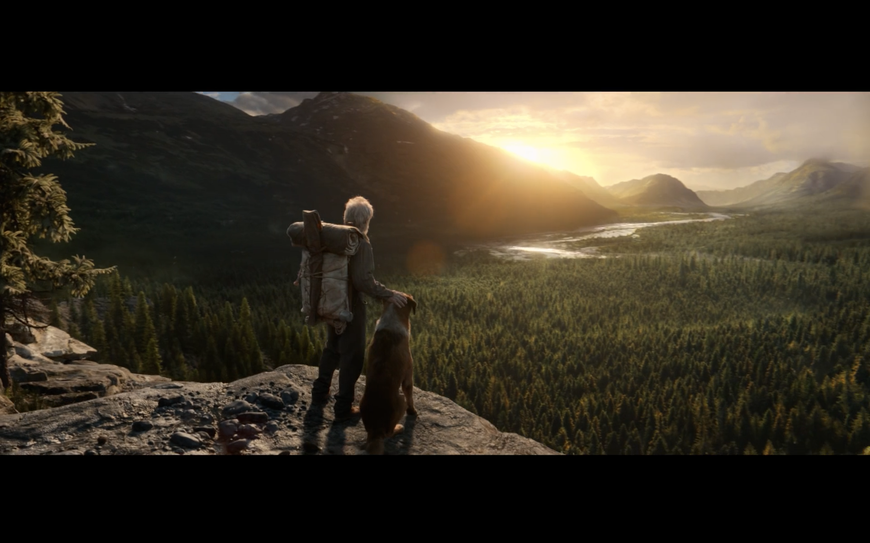 野性的呼唤剧照的剧照