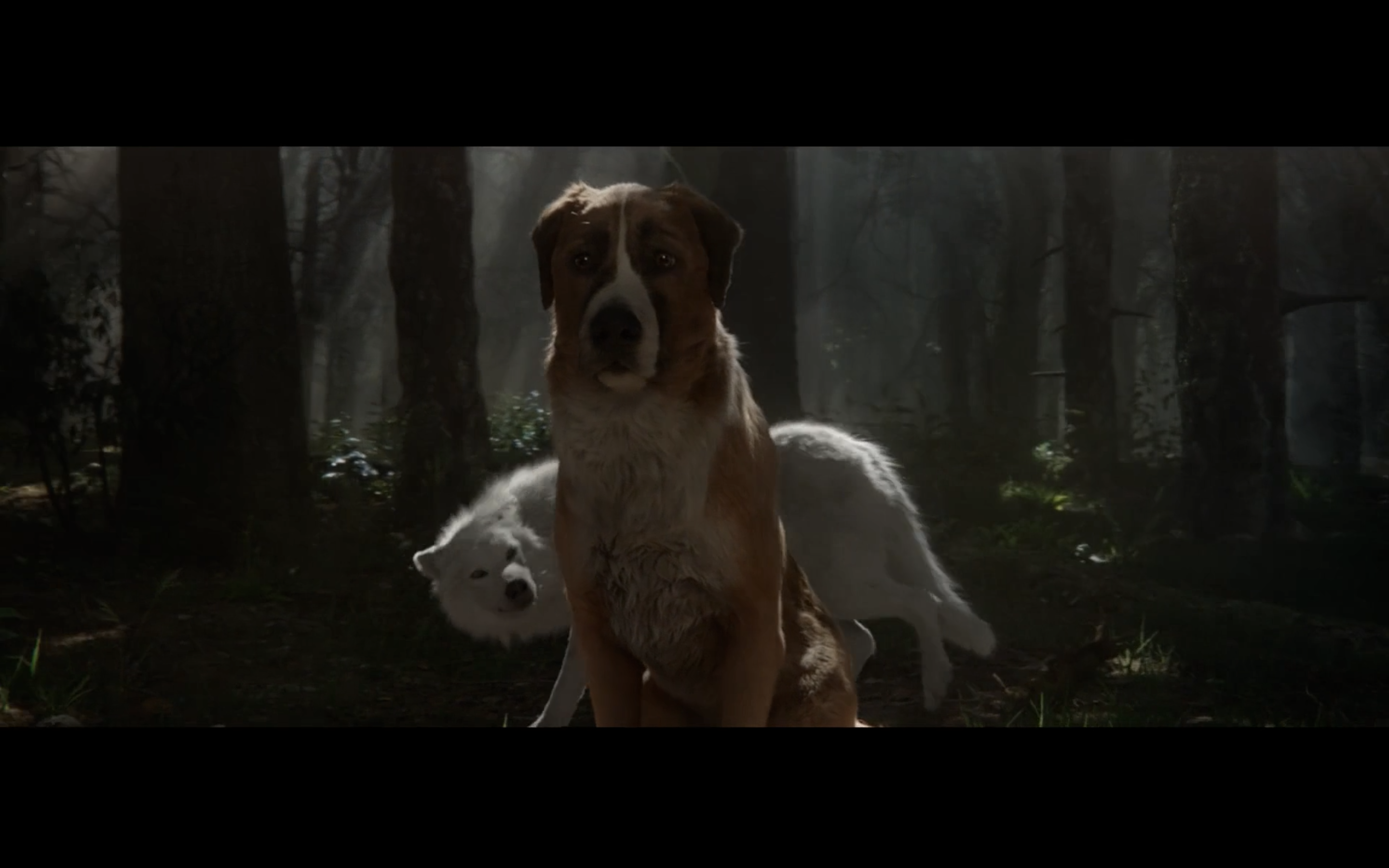 野性的呼唤剧照的剧照