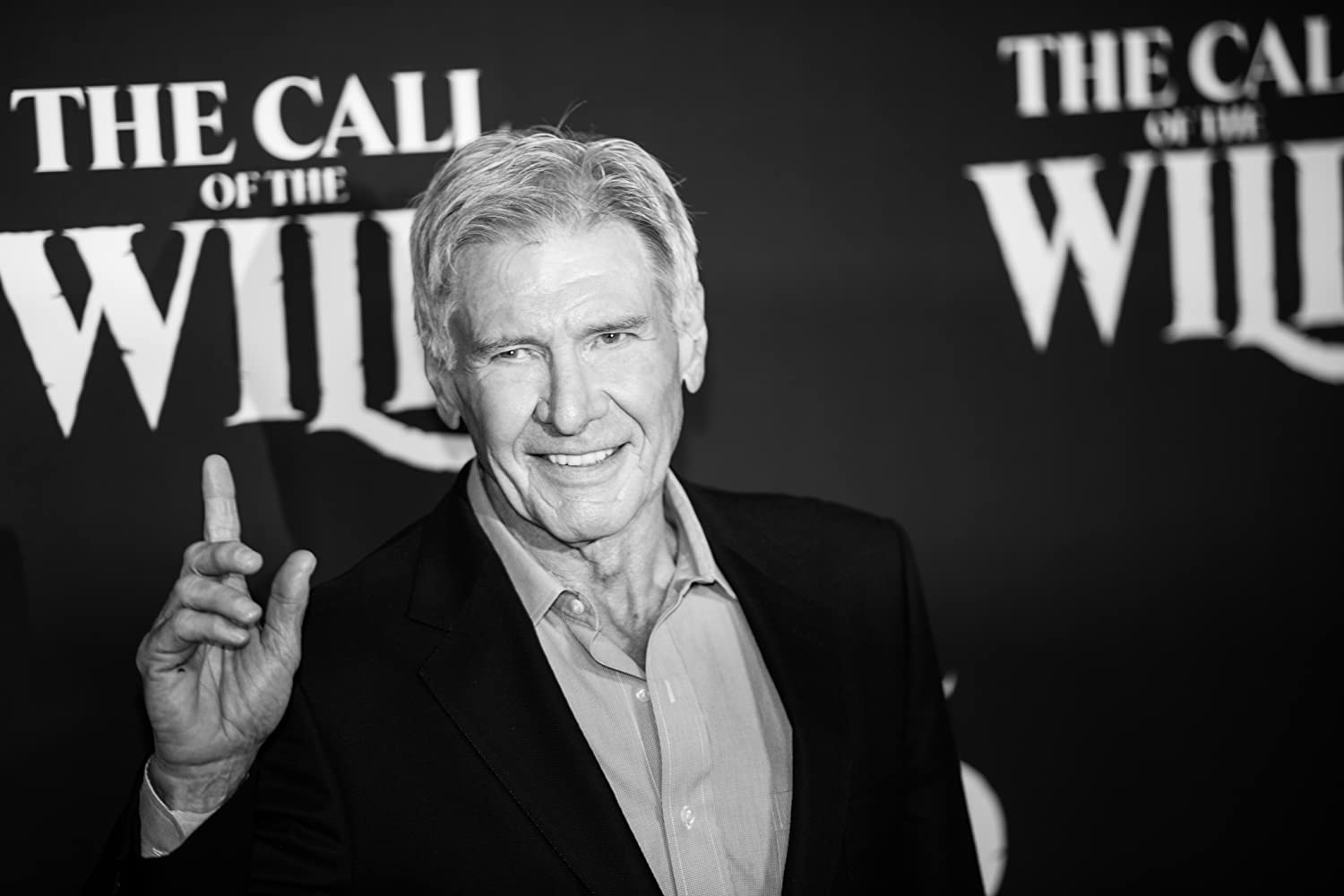 野性的呼唤剧照的剧照