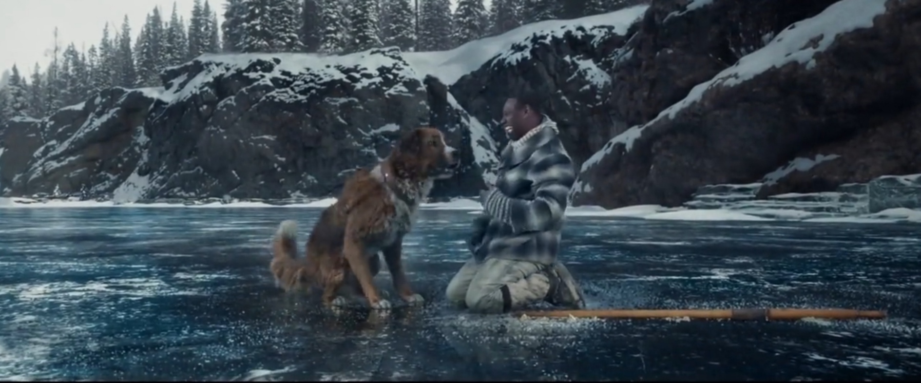 野性的呼唤剧照的剧照