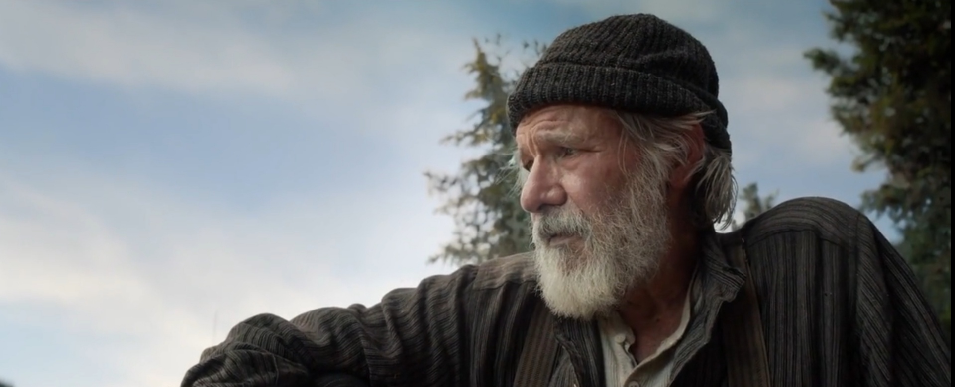 野性的呼唤剧照的剧照