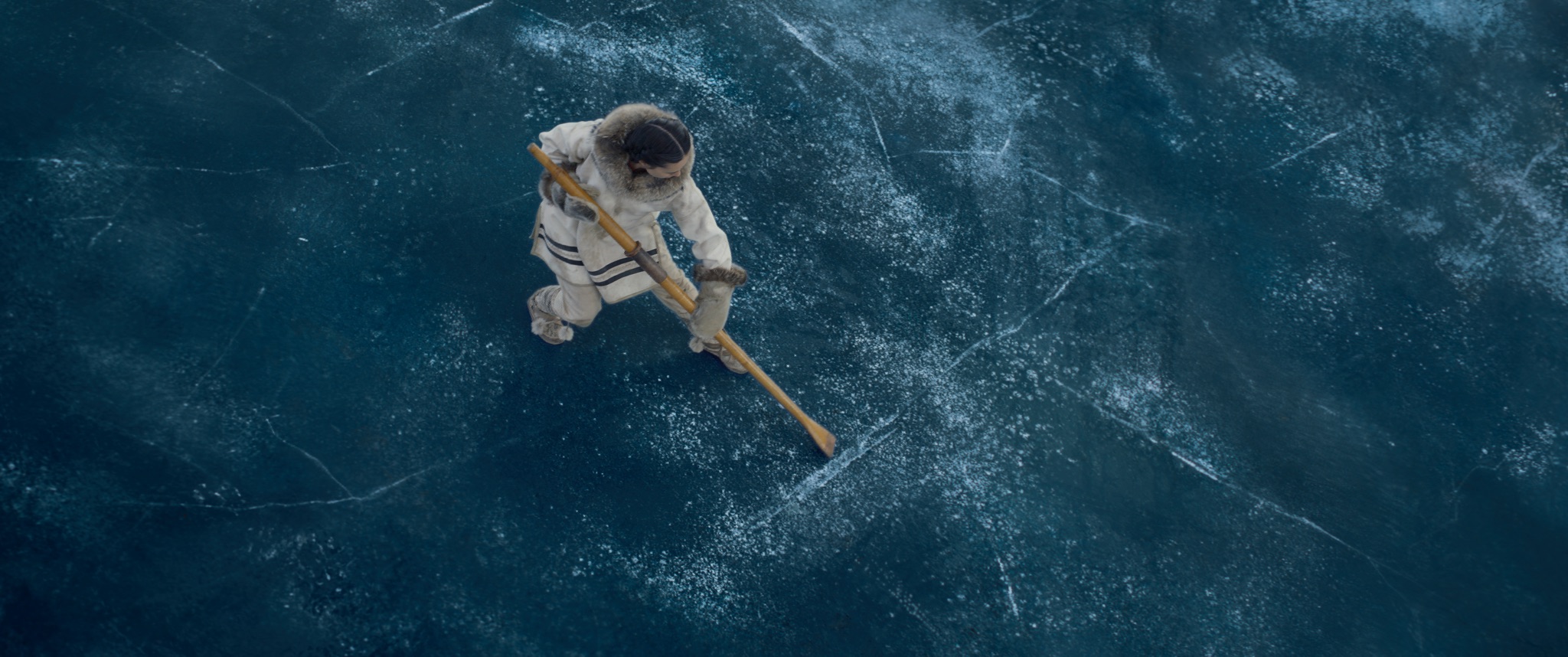 野性的呼唤剧照的剧照