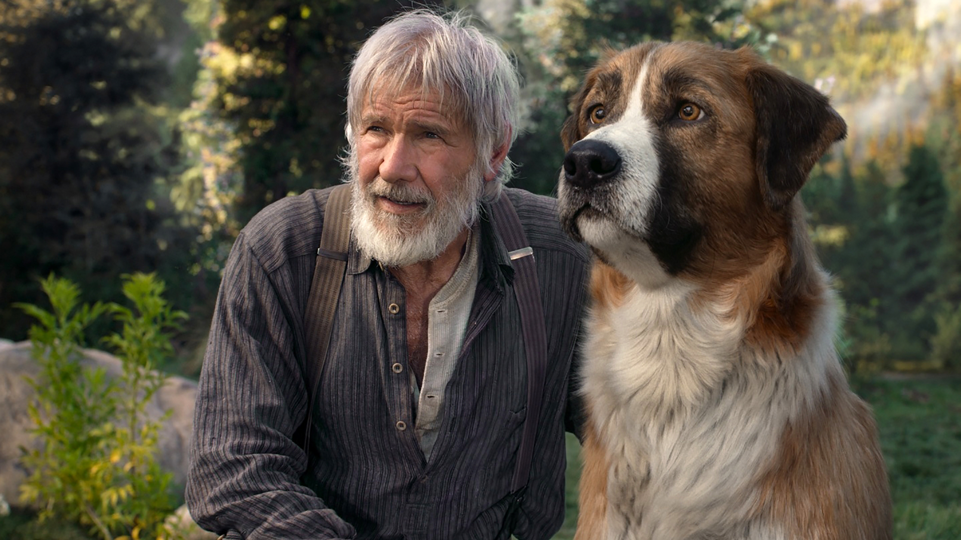 野性的呼唤剧照的剧照