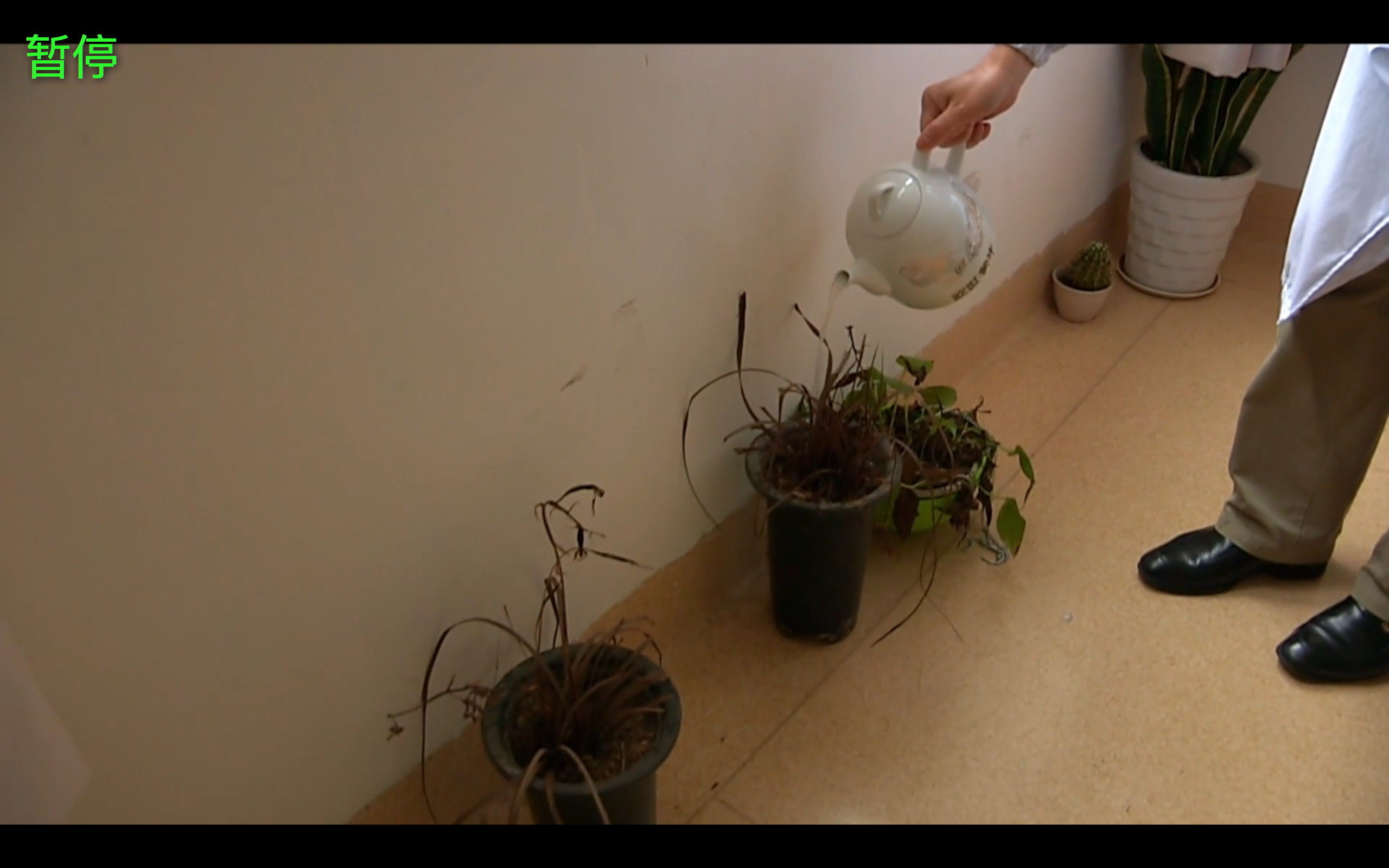 生门剧照的剧照