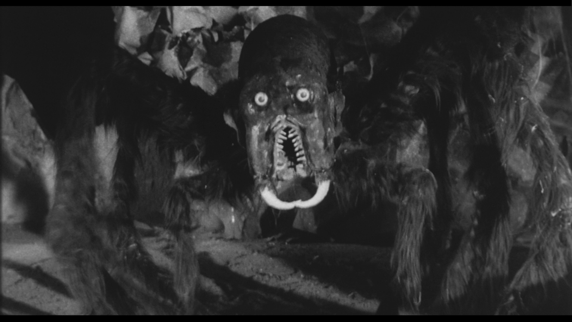 月宫毒仙子剧照的剧照