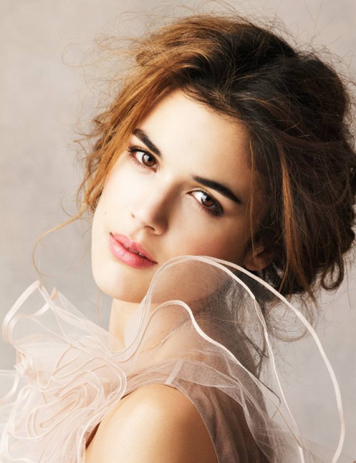 雪中的棕榈树剧照的剧照