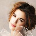 雪中的棕榈树剧照