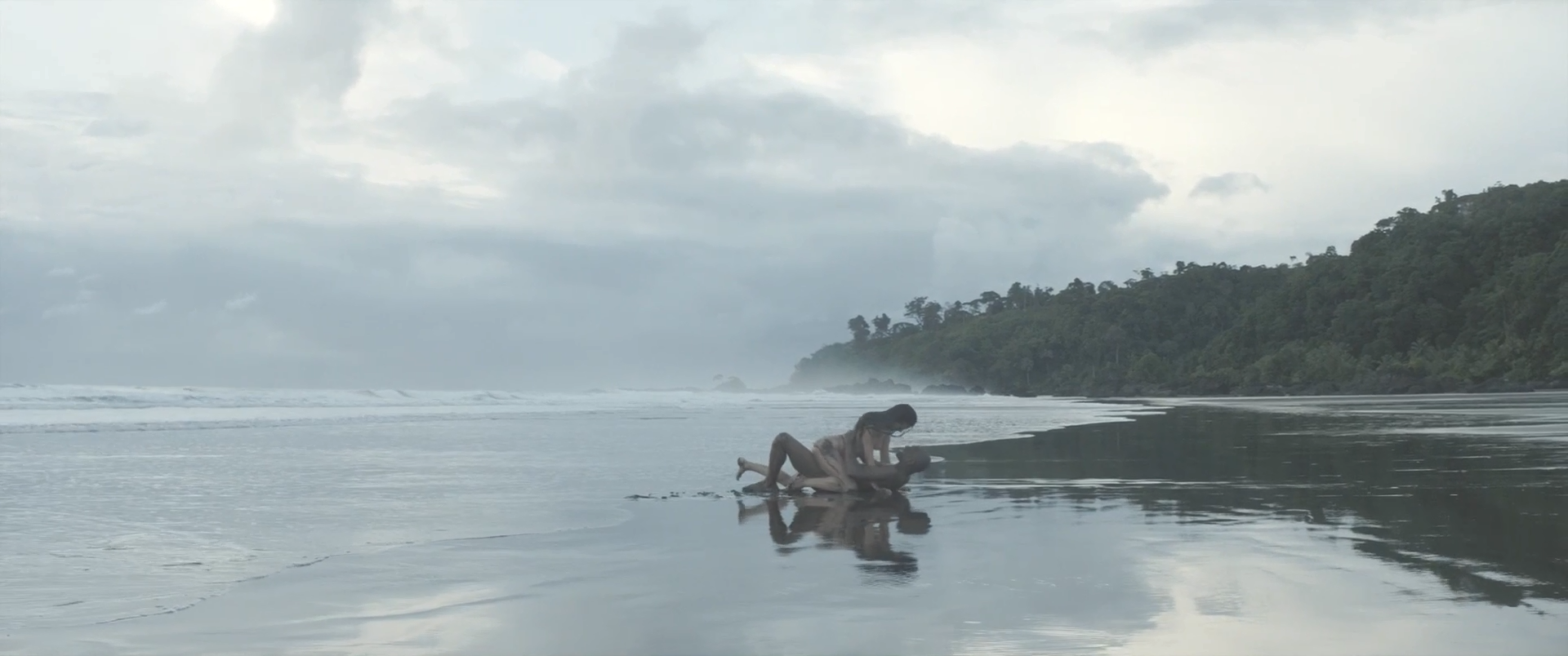 雪中的棕榈树剧照的剧照